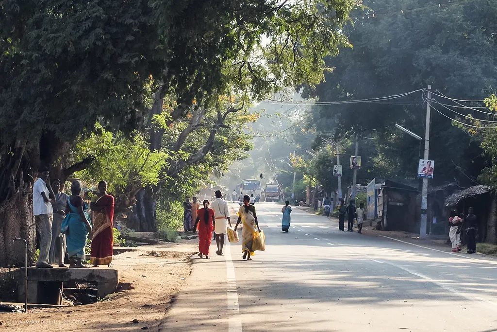 Women walking along a tree-lined main street in a small Tamil Nadu town